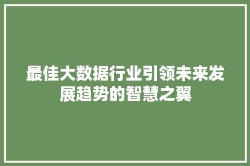 最佳大数据行业引领未来发展趋势的智慧之翼