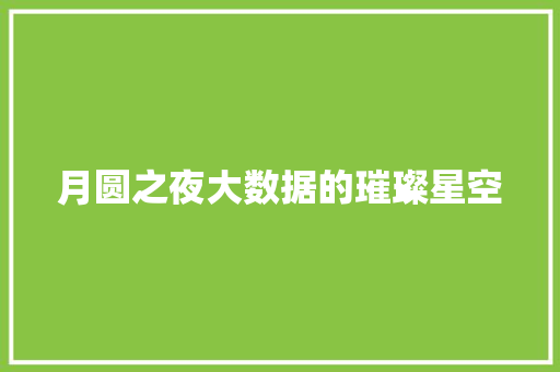 月圆之夜大数据的璀璨星空
