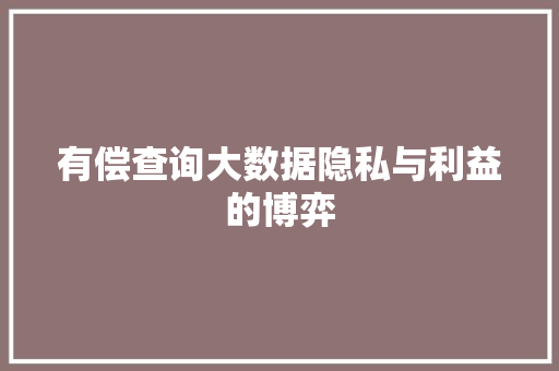 有偿查询大数据隐私与利益的博弈