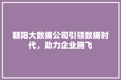朝阳大数据公司引领数据时代，助力企业腾飞