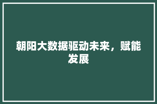 朝阳大数据驱动未来，赋能发展