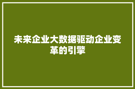 未来企业大数据驱动企业变革的引擎