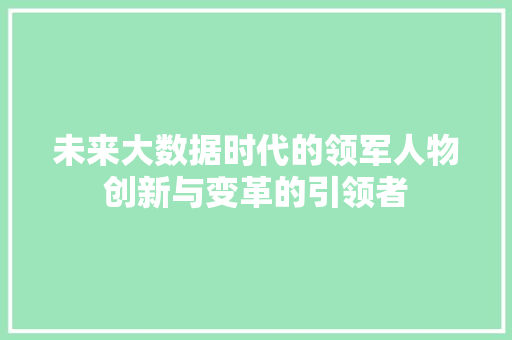 未来大数据时代的领军人物创新与变革的引领者