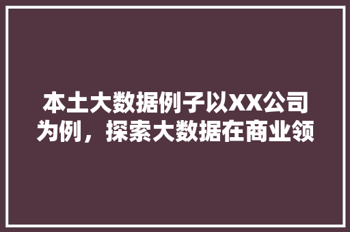 本土大数据例子以XX公司为例，探索大数据在商业领域的应用与价值