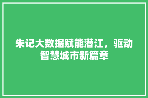 朱记大数据赋能潜江,驱动智慧城市新篇章 朱记大数据赋能潜江,驱动智慧城市新篇章