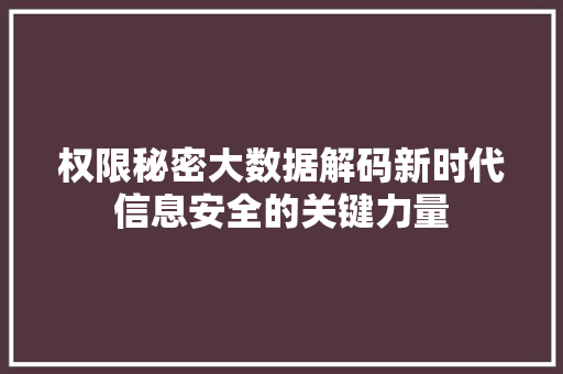 权限秘密大数据解码新时代信息安全的关键力量