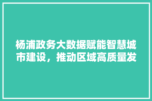 杨浦政务大数据赋能智慧城市建设,推动区域高质量发展 杨浦政务大数据赋能智慧城市建设,推动区域高质量发展