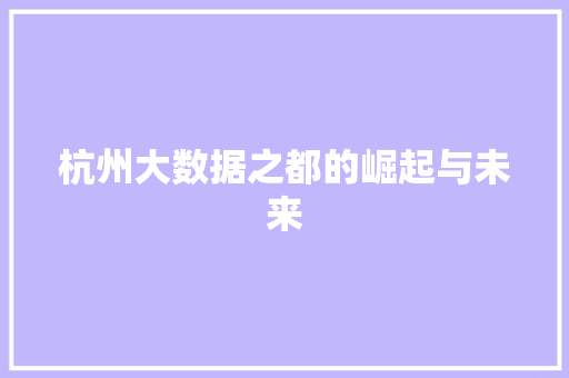 杭州大数据之都的崛起与未来