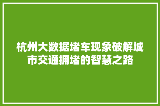杭州大数据堵车现象破解城市交通拥堵的智慧之路