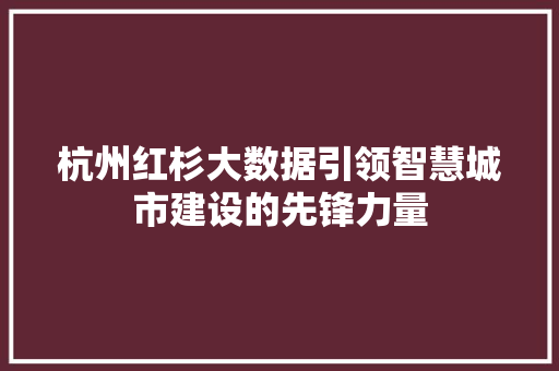 杭州红杉大数据引领智慧城市建设的先锋力量