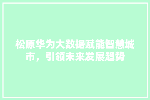 松原华为大数据赋能智慧城市，引领未来发展趋势