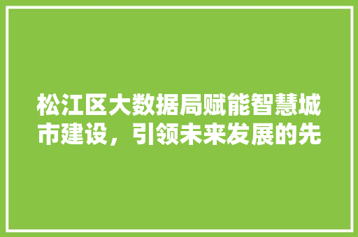 松江区大数据局赋能智慧城市建设，引领未来发展的先锋力量
