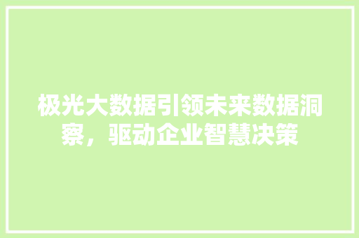 极光大数据引领未来数据洞察，驱动企业智慧决策