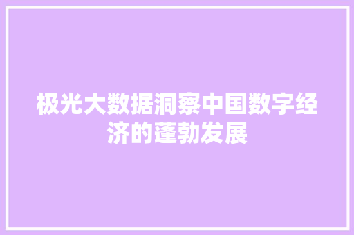 极光大数据洞察中国数字经济的蓬勃发展