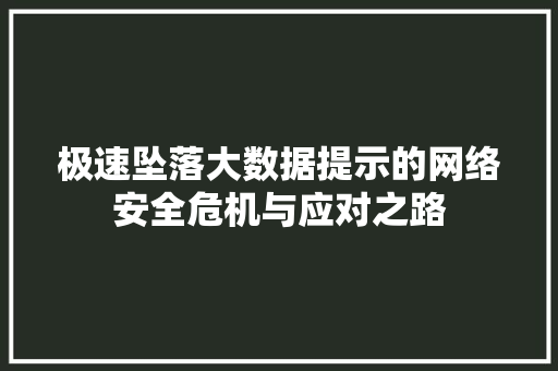 极速坠落大数据提示的网络安全危机与应对之路 极速坠落大数据提示的网络安全危机与应对之路