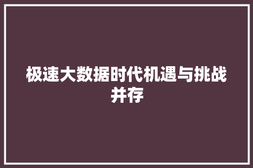 极速大数据时代机遇与挑战并存 极速大数据时代机遇与挑战并存