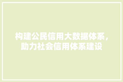 构建公民信用大数据体系,助力社会信用体系建设 构建公民信用大数据体系,助力社会信用体系建设