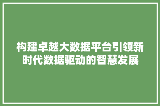 构建卓越大数据平台引领新时代数据驱动的智慧发展 构建卓越大数据平台引领新时代数据驱动的智慧发展