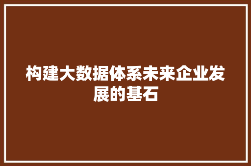 构建大数据体系未来企业发展的基石 构建大数据体系未来企业发展的基石