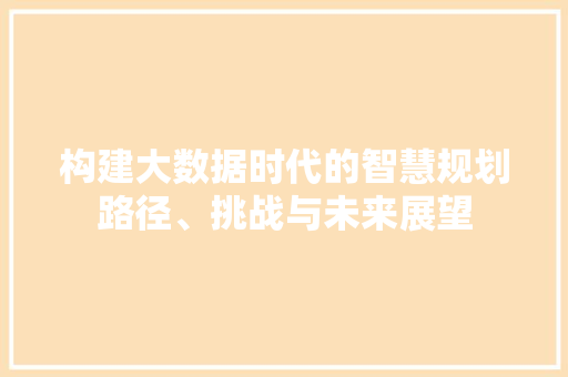 构建大数据时代的智慧规划路径、挑战与未来展望