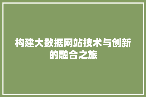 构建大数据网站技术与创新的融合之旅