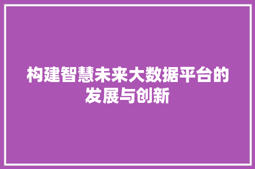 构建智慧未来大数据平台的发展与创新