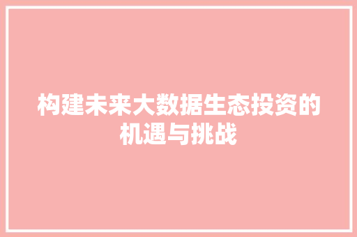 构建未来大数据生态投资的机遇与挑战
