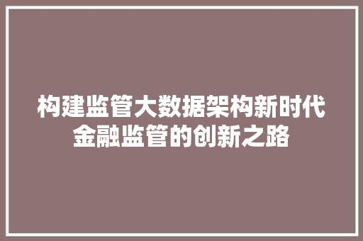 构建监管大数据架构新时代金融监管的创新之路