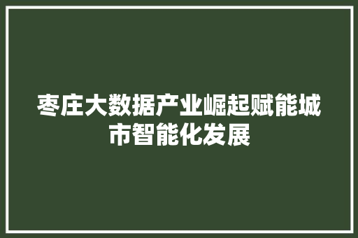 枣庄大数据产业崛起赋能城市智能化发展