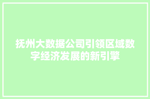 抚州大数据公司引领区域数字经济发展的新引擎