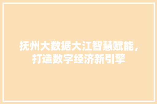抚州大数据大江智慧赋能，打造数字经济新引擎