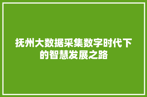抚州大数据采集数字时代下的智慧发展之路 抚州大数据采集数字时代下的智慧发展之路