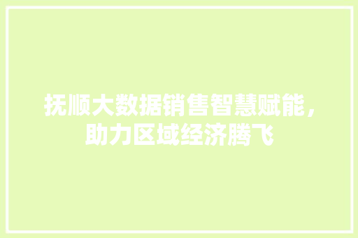 抚顺大数据销售智慧赋能,助力区域经济腾飞 抚顺大数据销售智慧赋能,助力区域经济腾飞