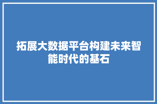 拓展大数据平台构建未来智能时代的基石