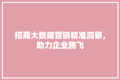 招商大数据营销精准洞察，助力企业腾飞