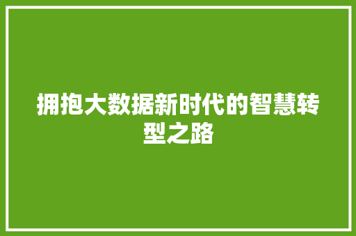 拥抱大数据新时代的智慧转型之路