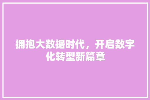 拥抱大数据时代，开启数字化转型新篇章