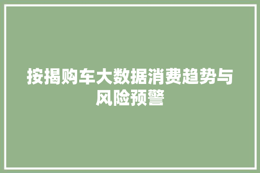 按揭购车大数据消费趋势与风险预警