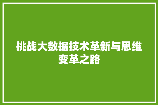 挑战大数据技术革新与思维变革之路