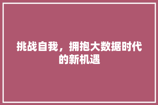 挑战自我，拥抱大数据时代的新机遇