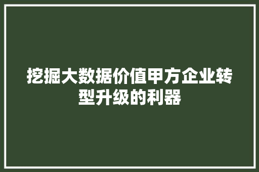 挖掘大数据价值甲方企业转型升级的利器