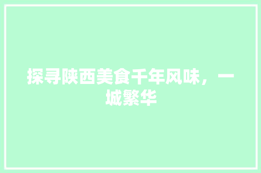 探寻陕西美食千年风味，一城繁华