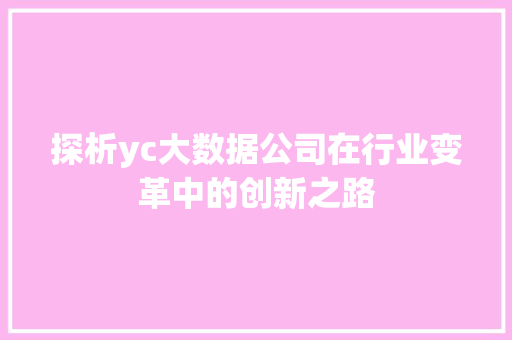 探析yc大数据公司在行业变革中的创新之路