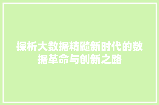 探析大数据精髓新时代的数据革命与创新之路