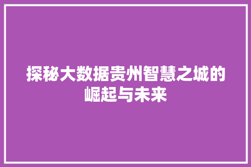 探秘大数据贵州智慧之城的崛起与未来
