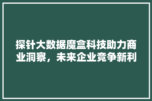 探针大数据魔盒科技助力商业洞察，未来企业竞争新利器