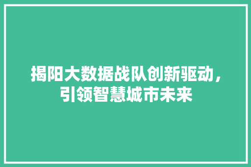 揭阳大数据战队创新驱动，引领智慧城市未来
