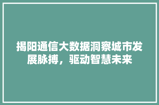 揭阳通信大数据洞察城市发展脉搏，驱动智慧未来