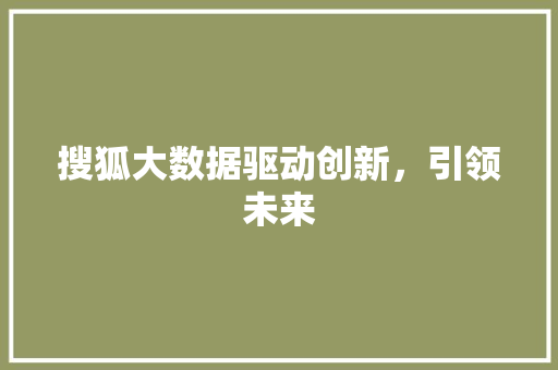 搜狐大数据驱动创新，引领未来