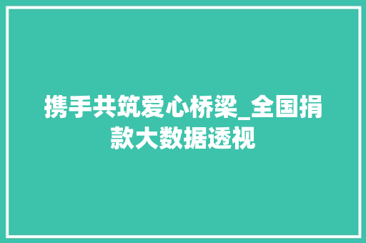 携手共筑爱心桥梁_全国捐款大数据透视